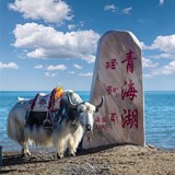 青海