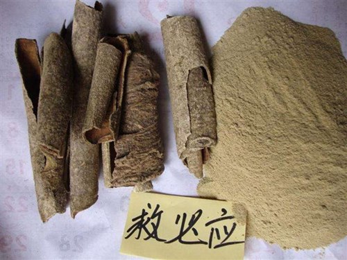 救必應(yīng)