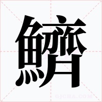 鱭