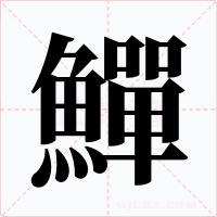 鱓