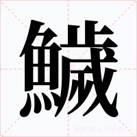 鱥