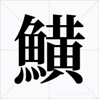 鱑