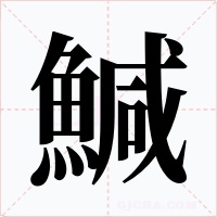 鰔