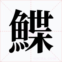 鰈