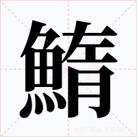 鰖