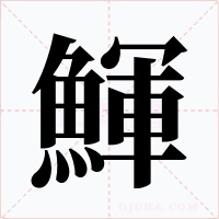 鯶