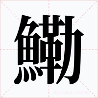 鰳
