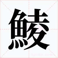 鯪