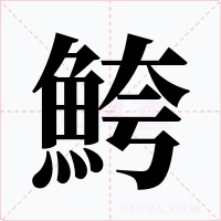 鮬