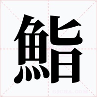 鮨