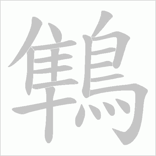 鶽