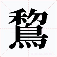 鵹
