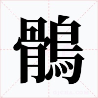 鶻