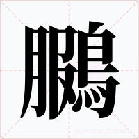鵩