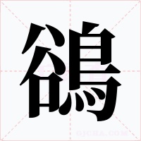 鵒