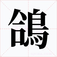 鴿