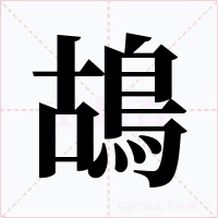 鴣