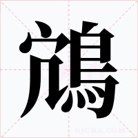 鴧