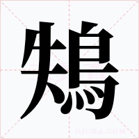 鴩