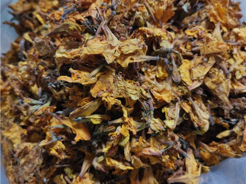 鬧羊花