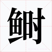 鰣