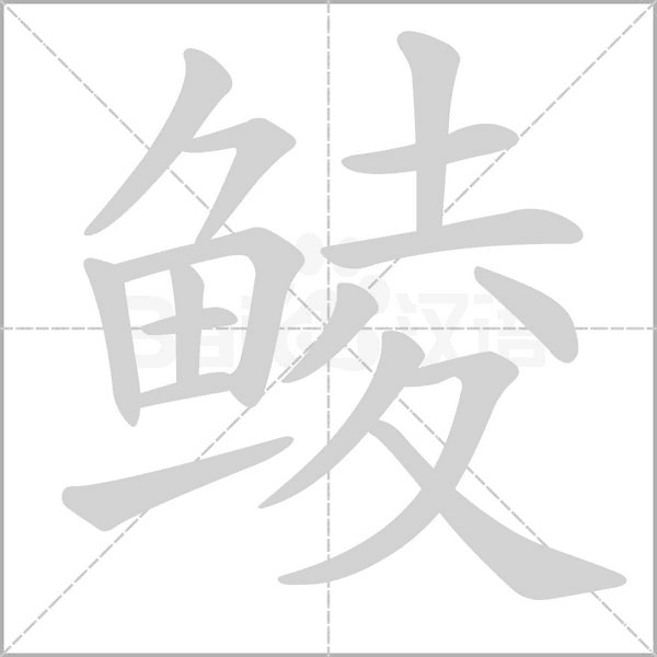 鯪