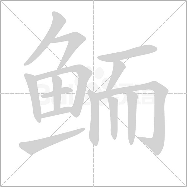 鮞