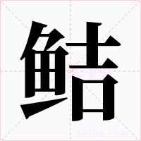 鮚