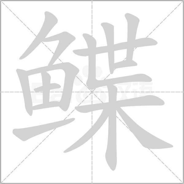 鰈
