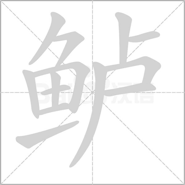 鱸