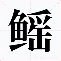 鰩
