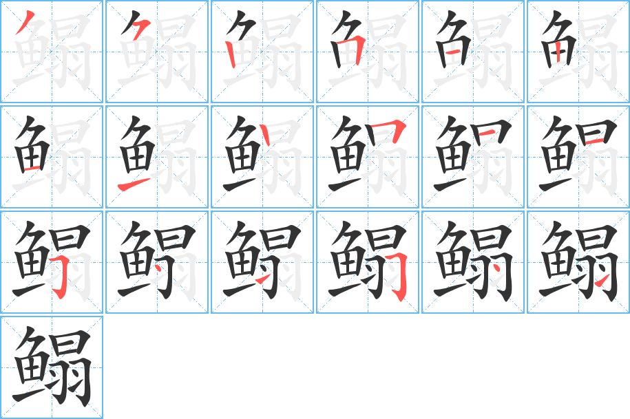 鰨
