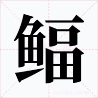 鲾