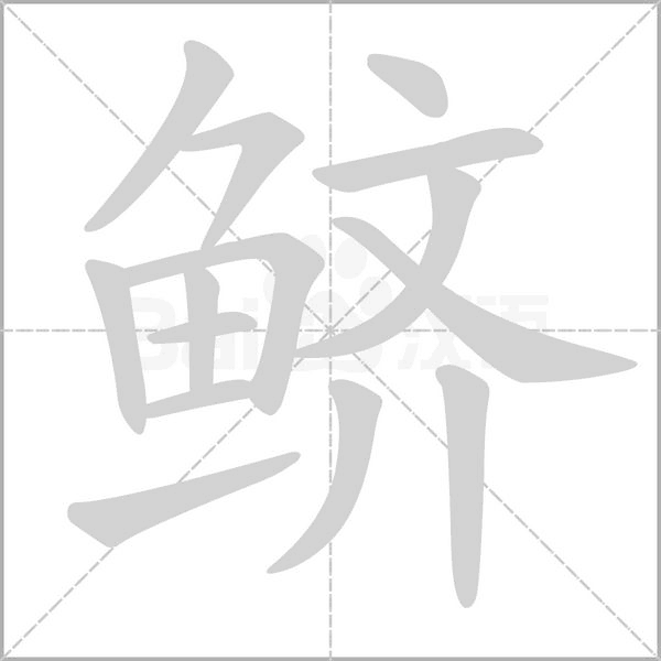 鱭