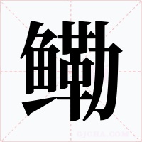 鰳