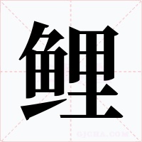 鯉