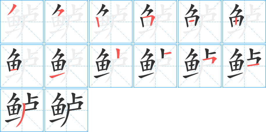 鱸
