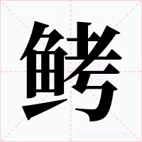 鲓