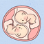 生男生女預(yù)測表
