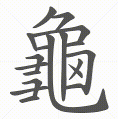龜