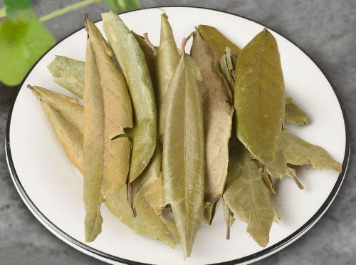 胡頹子葉