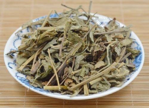 鶴草芽