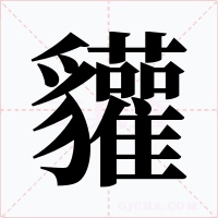 貛