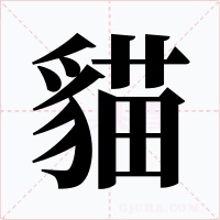 貓