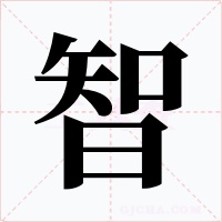 智