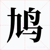 鳩