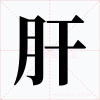 肝