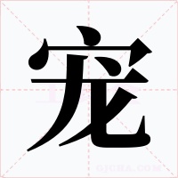 寵