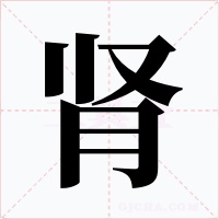 腎
