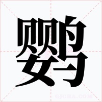 鸚
